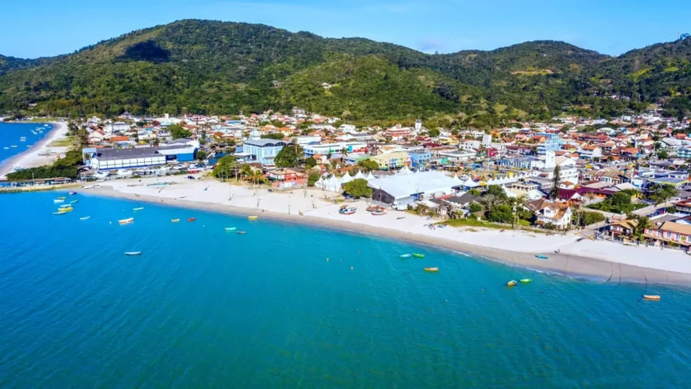 portobelo